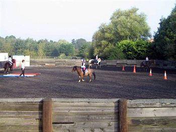Willowbrook Riding Centre Chichester Exterior foto